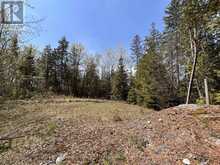 0 HIGHWAY 118 | Bancroft Ontario | Slide Image Ten