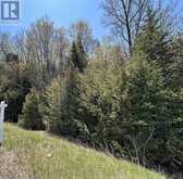 0 HIGHWAY 118 | Bancroft Ontario | Slide Image Sixteen