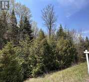 0 HIGHWAY 118 | Bancroft Ontario | Slide Image Nineteen
