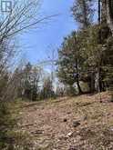 0 HIGHWAY 118 | Bancroft Ontario | Slide Image Nine