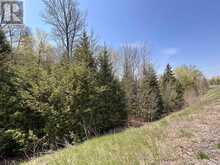 0 HIGHWAY 118 | Bancroft Ontario | Slide Image Four