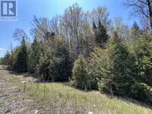 0 HIGHWAY 118 | Bancroft Ontario | Slide Image Six