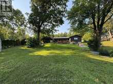 116 MYSTIC POINT ROAD | North Kawartha Ontario | Slide Image Forty-four