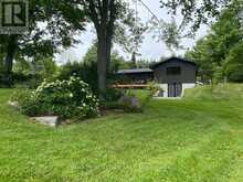 116 MYSTIC POINT ROAD | North Kawartha Ontario | Slide Image Forty-five