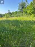 2421 14TH LINE EAST ACRES E | Havelock-Belmont-Methuen Ontario | Slide Image Six