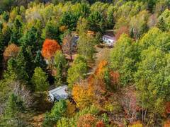 1304 LOWER MONMOUTH LAKE ROAD Highlands East Ontario, K0L 2Y0