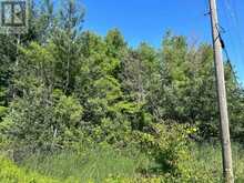 0 CONCESSION RD 4 W | Trent Hills Ontario | Slide Image Two