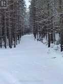 0 SNAKE RAPIDS ROAD | Addington Highlands Ontario | Slide Image Seven
