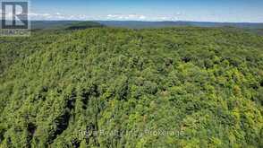 0 SNAKE RAPIDS ROAD | Addington Highlands Ontario | Slide Image Eleven