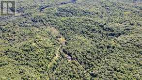 0 SNAKE RAPIDS ROAD | Addington Highlands Ontario | Slide Image Twelve