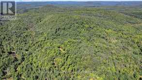0 SNAKE RAPIDS ROAD | Addington Highlands Ontario | Slide Image Thirteen