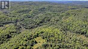 0 SNAKE RAPIDS ROAD | Addington Highlands Ontario | Slide Image Fifteen