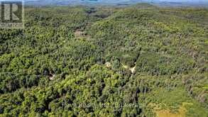 0 SNAKE RAPIDS ROAD | Addington Highlands Ontario | Slide Image Nineteen