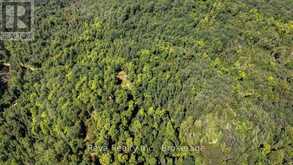 0 SNAKE RAPIDS ROAD | Addington Highlands Ontario | Slide Image Twenty-one