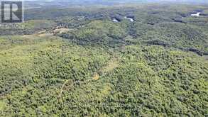 0 SNAKE RAPIDS ROAD | Addington Highlands Ontario | Slide Image Nine