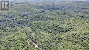0 SNAKE RAPIDS ROAD | Addington Highlands Ontario | Slide Image Ten