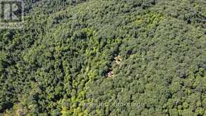 0 SNAKE RAPIDS ROAD | Addington Highlands Ontario | Slide Image Seventeen