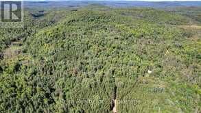 0 SNAKE RAPIDS ROAD | Addington Highlands Ontario | Slide Image Twenty