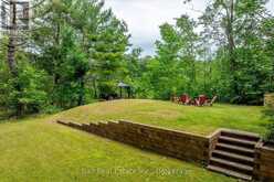 2793 COUNTY ROAD 36 ROAD N | North Kawartha Ontario | Slide Image Forty-three