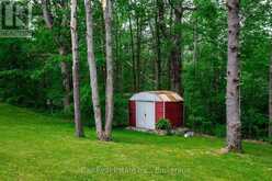 2793 COUNTY ROAD 36 ROAD N | North Kawartha Ontario | Slide Image Forty-eight