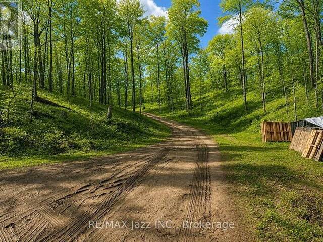 1091 CRYSTAL LAKE ROAD Kawartha Lakes Ontario, K0M 2A0 - Vacant Land For Sale