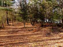 LOT 7 COMFORT DRIVE | Highlands East Ontario | Slide Image Five
