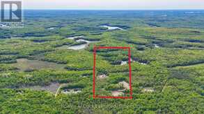 2018 FORTESQUE LAKE ROAD | Highlands East Ontario | Slide Image One