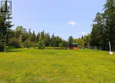 1118 DUTCH LINE ROAD E | Kawartha Lakes Ontario | Slide Image Two