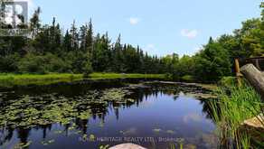1118 DUTCH LINE ROAD E | Kawartha Lakes Ontario | Slide Image Four