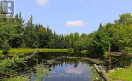 1118 DUTCH LINE ROAD E | Kawartha Lakes Ontario | Slide Image Eight
