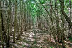 4922 HIGHWAY 7 | Kawartha Lakes Ontario | Slide Image Forty