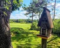 4922 HIGHWAY 7 | Kawartha Lakes Ontario | Slide Image Forty-one