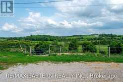 583 SECOND LINE | Douro-Dummer Ontario | Slide Image Ten
