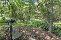 630 SOUTH BAPTISTE LAKE ROAD | Bancroft Ontario | Slide Image Thirty-two