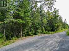 LT 4 DUTCH LINE ROAD W | Kawartha Lakes Ontario | Slide Image Four