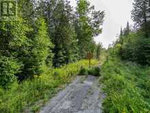 LT 4 DUTCH LINE ROAD W | Kawartha Lakes Ontario | Slide Image Five