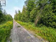 LT 4 DUTCH LINE ROAD W | Kawartha Lakes Ontario | Slide Image Six