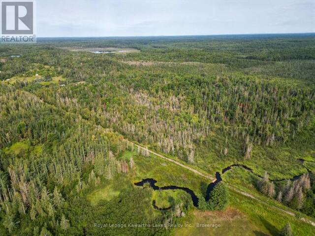 LT 4 DUTCH LINE ROAD W Kawartha Lakes Ontario, K0M 2A0 - Vacant Land For Sale