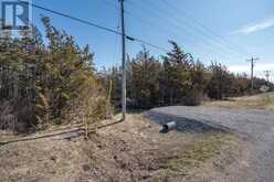 695 COUNTY ROAD 7 | Prince Edward Ontario | Slide Image Ten