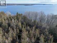 695 COUNTY ROAD 7 | Prince Edward Ontario | Slide Image Five