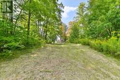 316 HIGH SHORE ROAD | Marmora Ontario | Slide Image Six