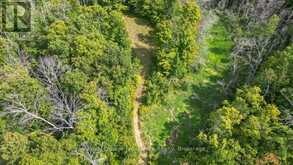 316 HIGH SHORE ROAD | Marmora Ontario | Slide Image Eight