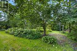 3 BASSWOOD STREET | Kawartha Lakes Ontario | Slide Image Thirty-eight