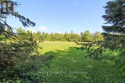 2356 DEER BAY ROAD | North Kawartha Ontario | Slide Image Twenty