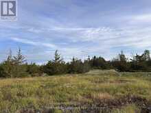 2916 SHANNON ROAD | Tyendinaga Ontario | Slide Image Ten