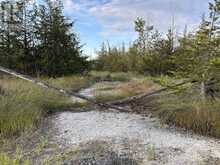 2916 SHANNON ROAD | Tyendinaga Ontario | Slide Image Two