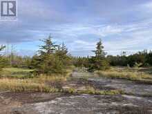 2916 SHANNON ROAD | Tyendinaga Ontario | Slide Image Six