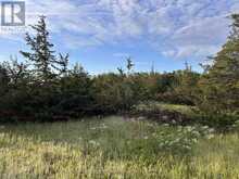 2916 SHANNON ROAD | Tyendinaga Ontario | Slide Image Eight