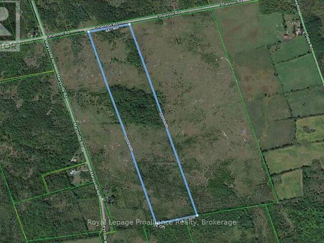 2916 SHANNON ROAD Tyendinaga Ontario, K0K 3A0 - Vacant Land For Sale