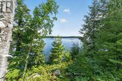 3310 SHABOMEKA LAKE | Addington Highlands Ontario | Slide Image Forty-one